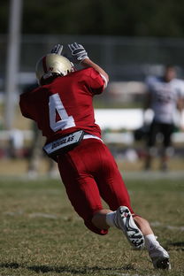 米兰体育官网入口-五大联赛中下游球队是否易受心理波动影响表现，5大联赛球队  第2张